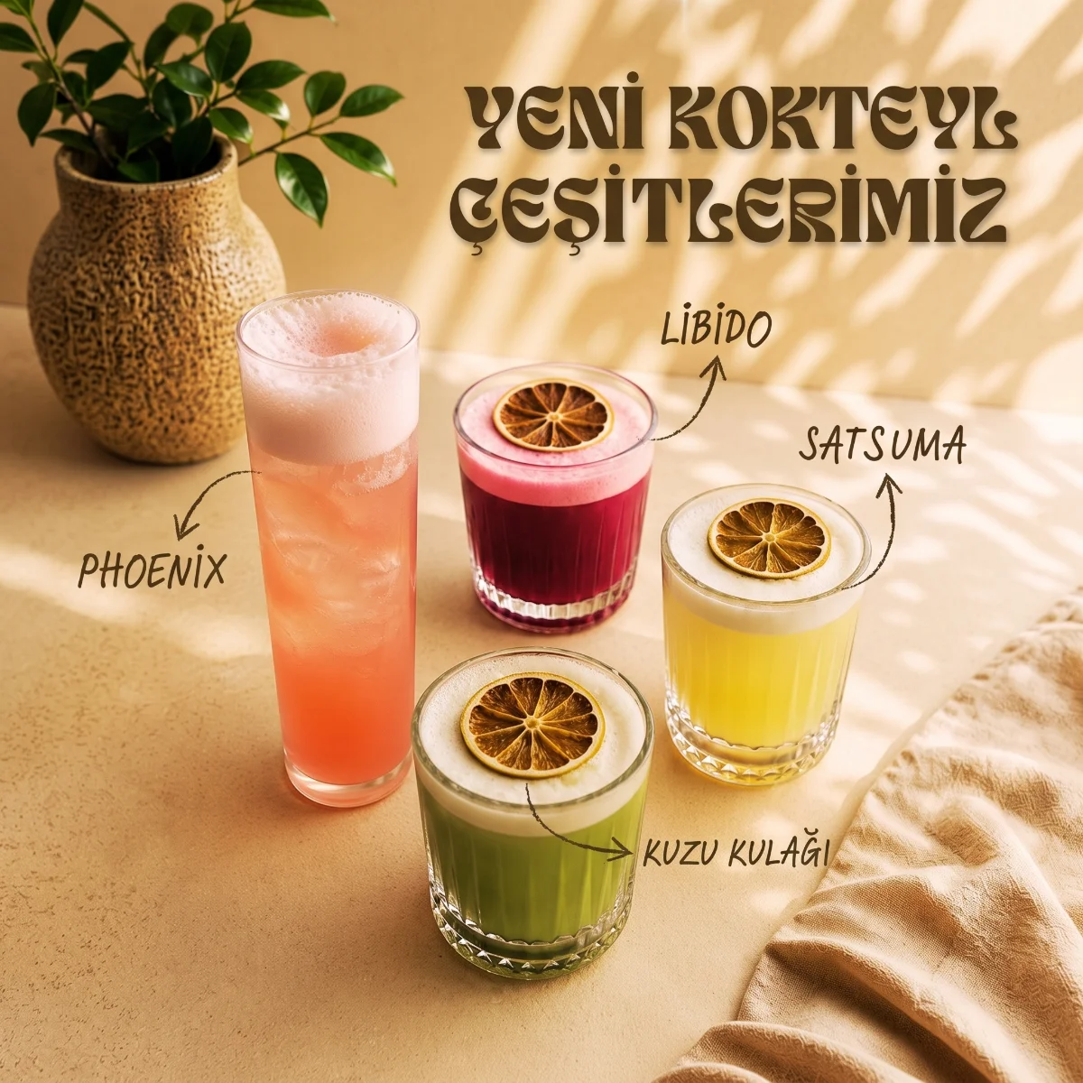Yeni Koktey Çeşitlerimiz